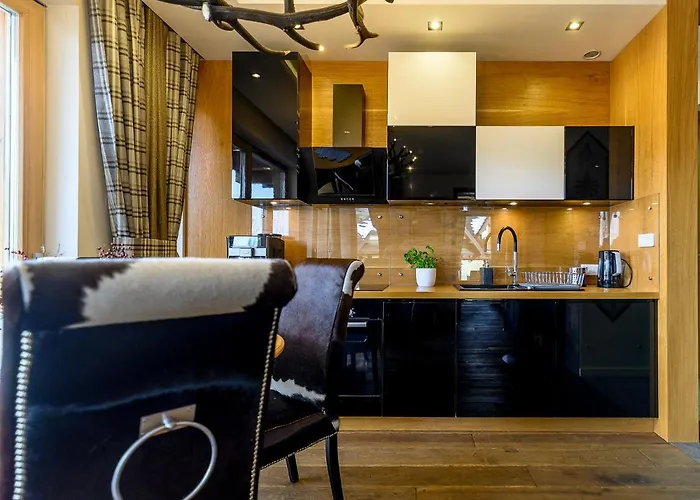 公寓 Visitzakopane - Dolomite